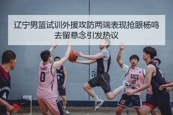 辽宁男篮试训外援攻防两端表现抢眼杨鸣去留悬念引发热议