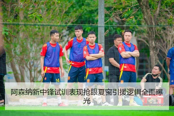 阿森纳新中锋试训表现抢眼夏窗引援逻辑全面曝光