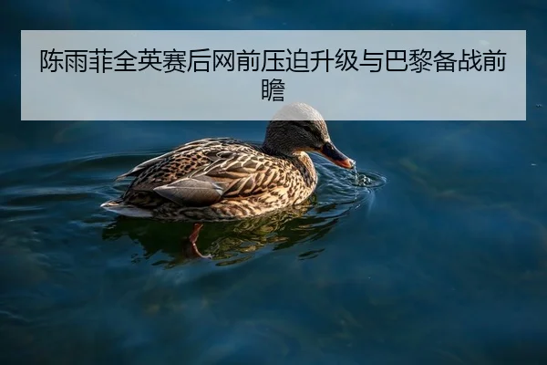 陈雨菲全英赛后网前压迫升级与巴黎备战前瞻